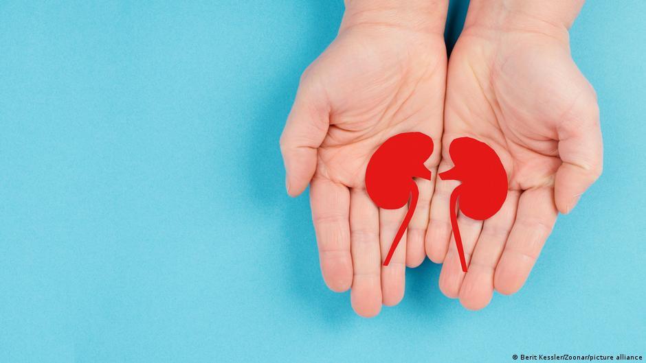 ألمانيا تناقش تغيير نظام التبرع بالأعضاء في البرلمان