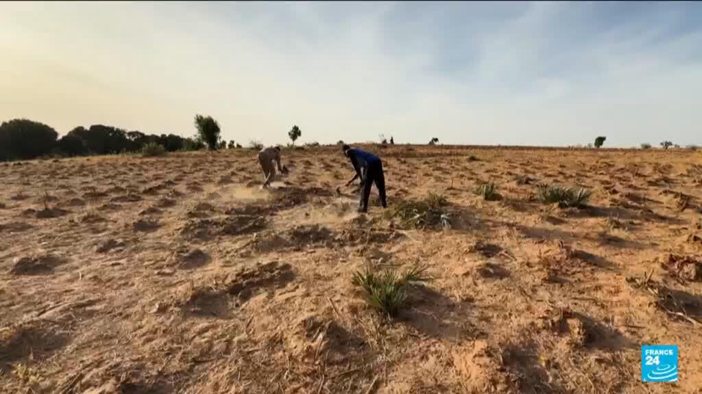 علماء المناخ يحذرون من حدث "غودزيلا" بسبب ظاهرة الينو السوبر