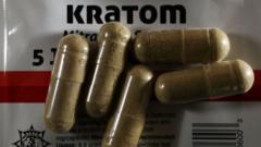 ما هو kratom الذي يقلق المسؤولين الأمريكيين؟