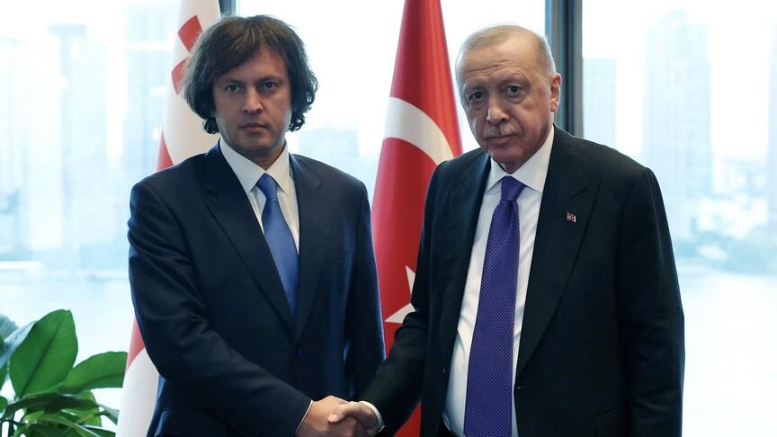 Türkiye وGeorgia تناقشان التعاون الإقليمي والثنائي