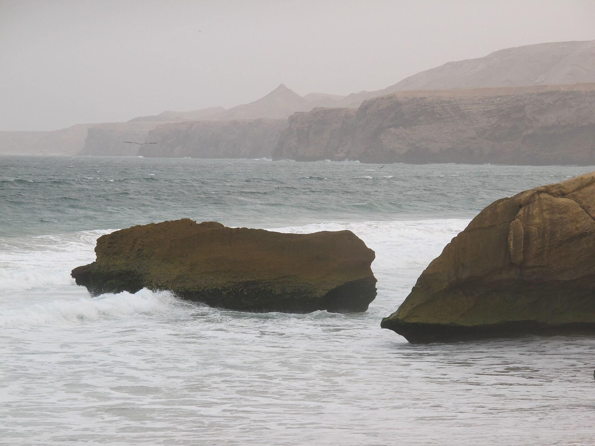 Ras Al Jinz Turtle Reserve: How to Watch Green Turtles Nesting