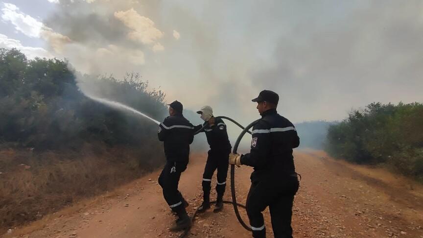 حرائق الجزائر: إخماد 118 حريقاً وخمسة نشطة
